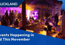 9 Best Events Happening in Auckland This November 9 Best Events Happening in Auckland This November