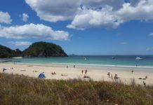 Things to Do in Auckland: Hidden Gems and Local Favourites