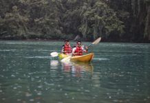 Auckland’s Best Kayaking Spots for a Scenic Adventure Best kayaking Spots in Auckland Region