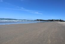 The Ultimate Guide to Relocating to New Zealand: Everything You Need to Know